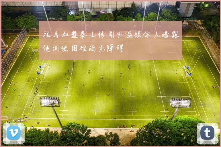 祖马加盟泰山传闻升温媒体人透露他训练困难尚无障碍