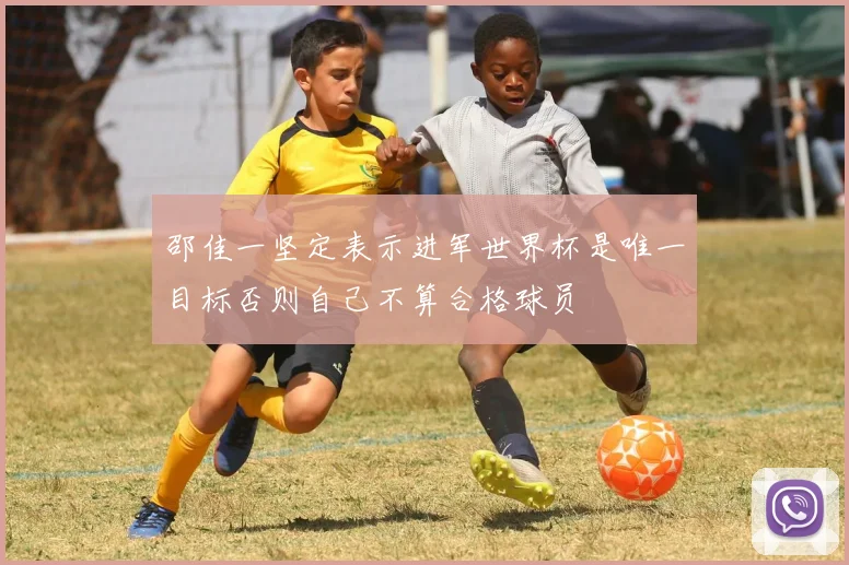 邵佳一坚定表示进军世界杯是唯一目标否则自己不算合格球员
